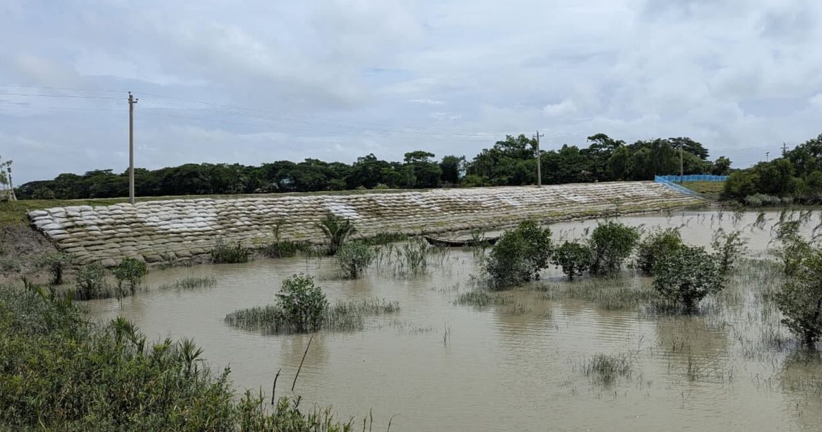 অপরিকল্পিত বাঁধে বরইতলা নদীর মরণদশা