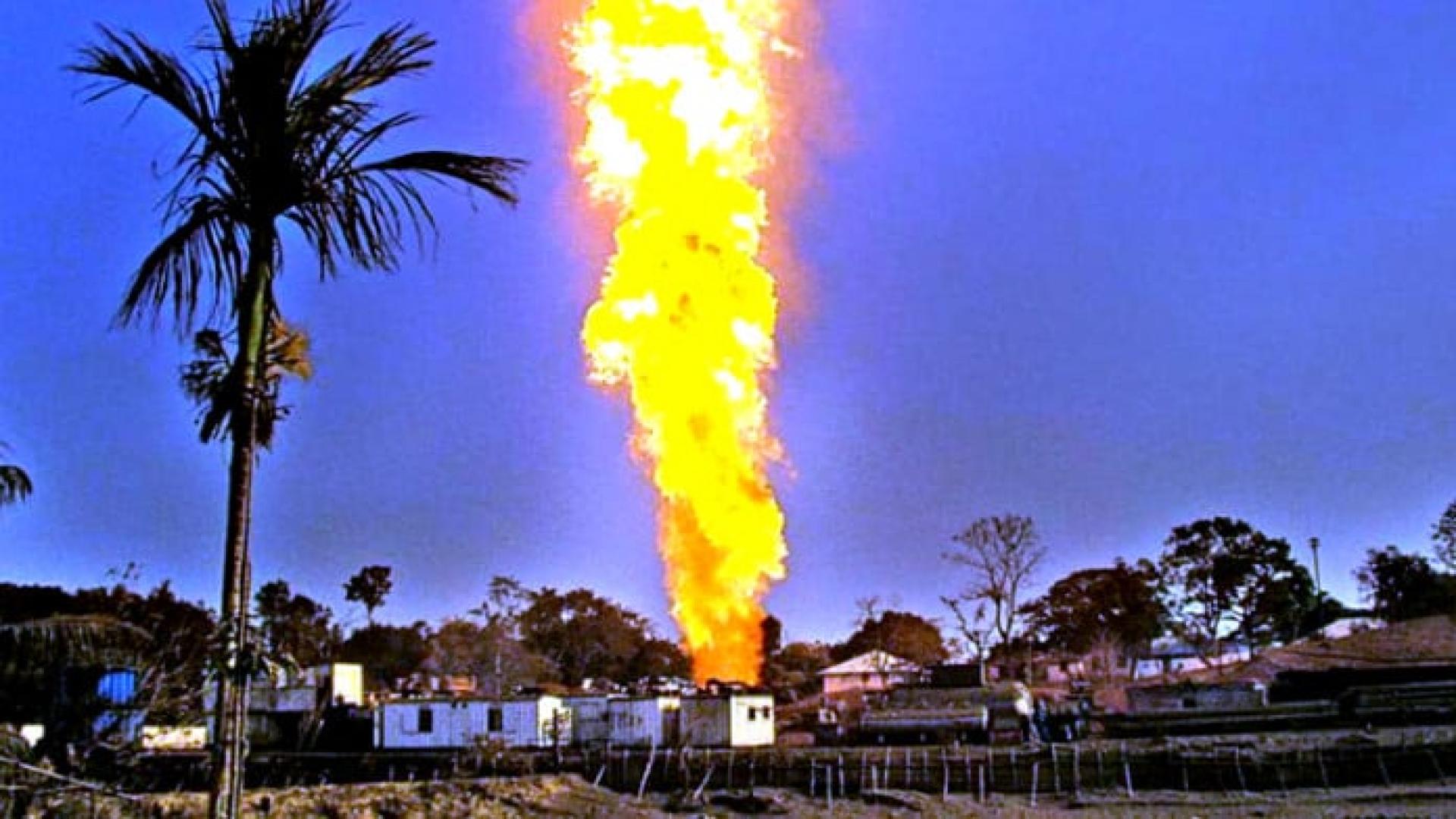 নাইকোকে ৫১৬ কোটি টাকা জরিমানা